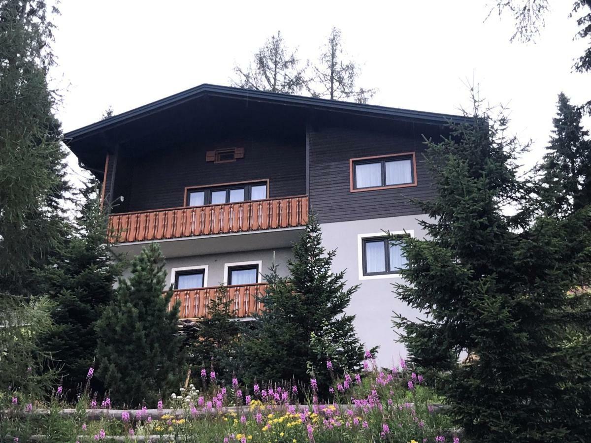 Ferienhaus Bergfee Klippitztorl エクステリア 写真
