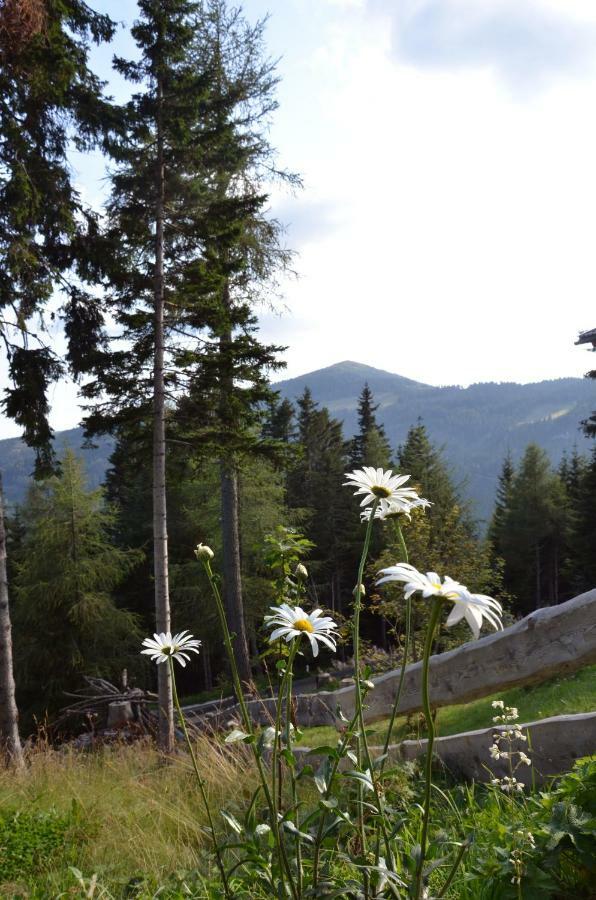 Ferienhaus Bergfee Klippitztorl エクステリア 写真