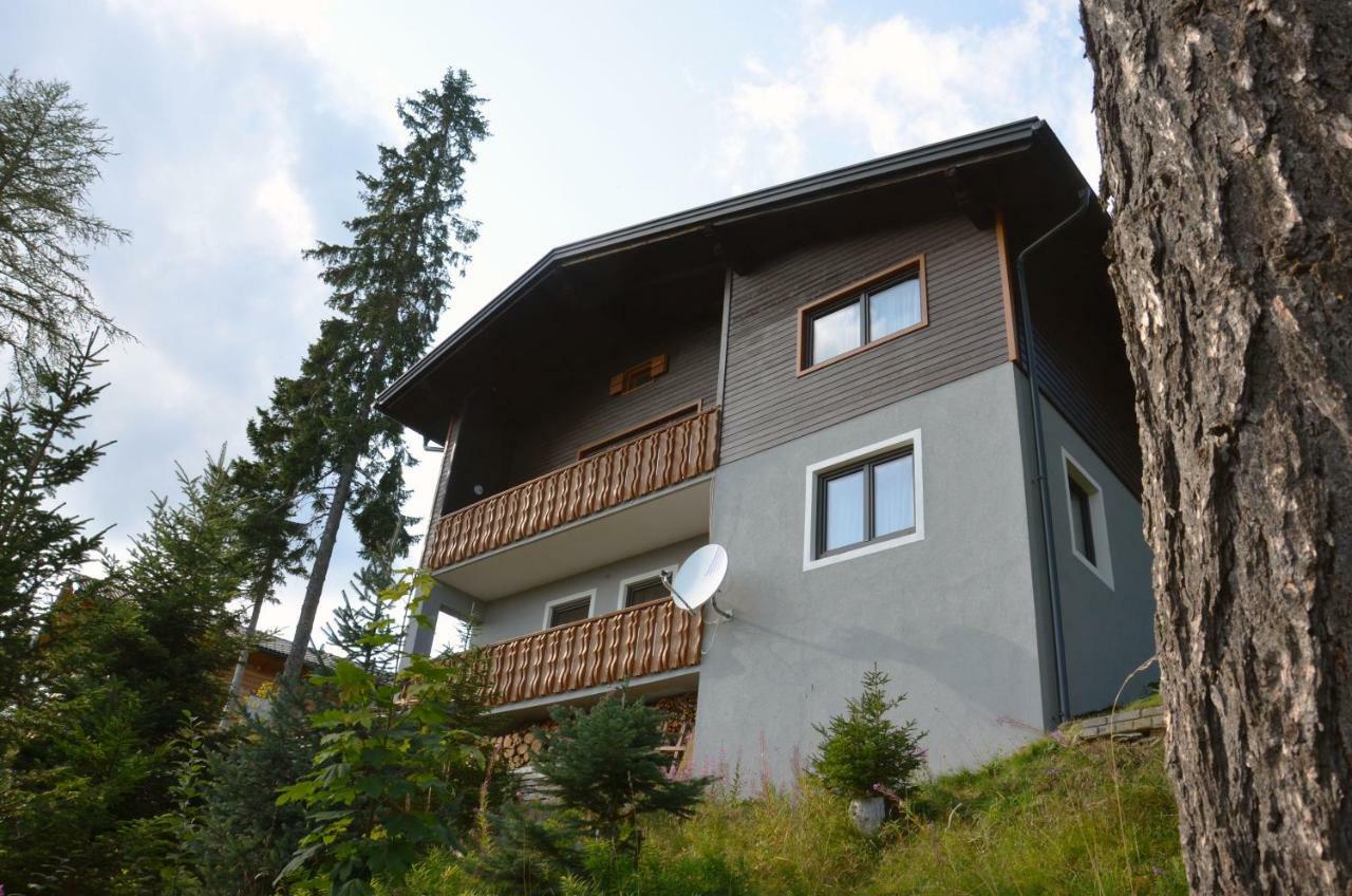 Ferienhaus Bergfee Klippitztorl エクステリア 写真