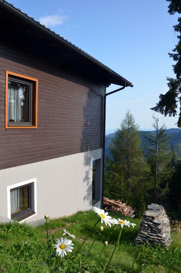 Ferienhaus Bergfee Klippitztorl エクステリア 写真