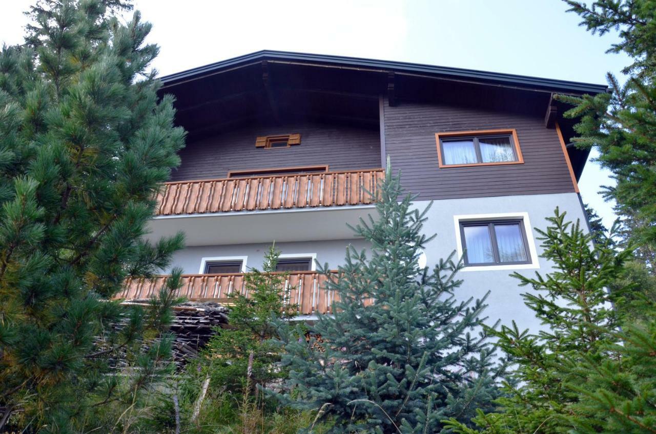 Ferienhaus Bergfee Klippitztorl エクステリア 写真