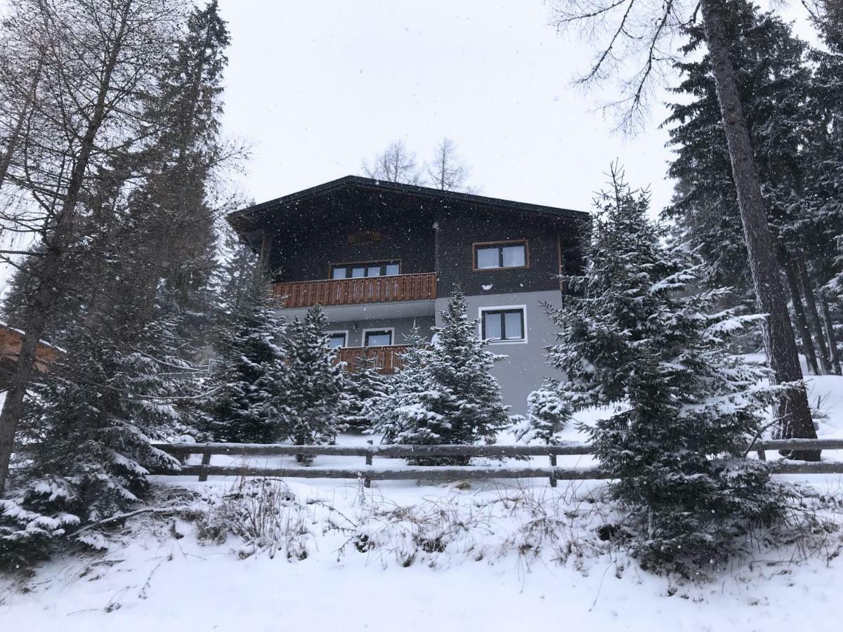 Ferienhaus Bergfee Klippitztorl エクステリア 写真